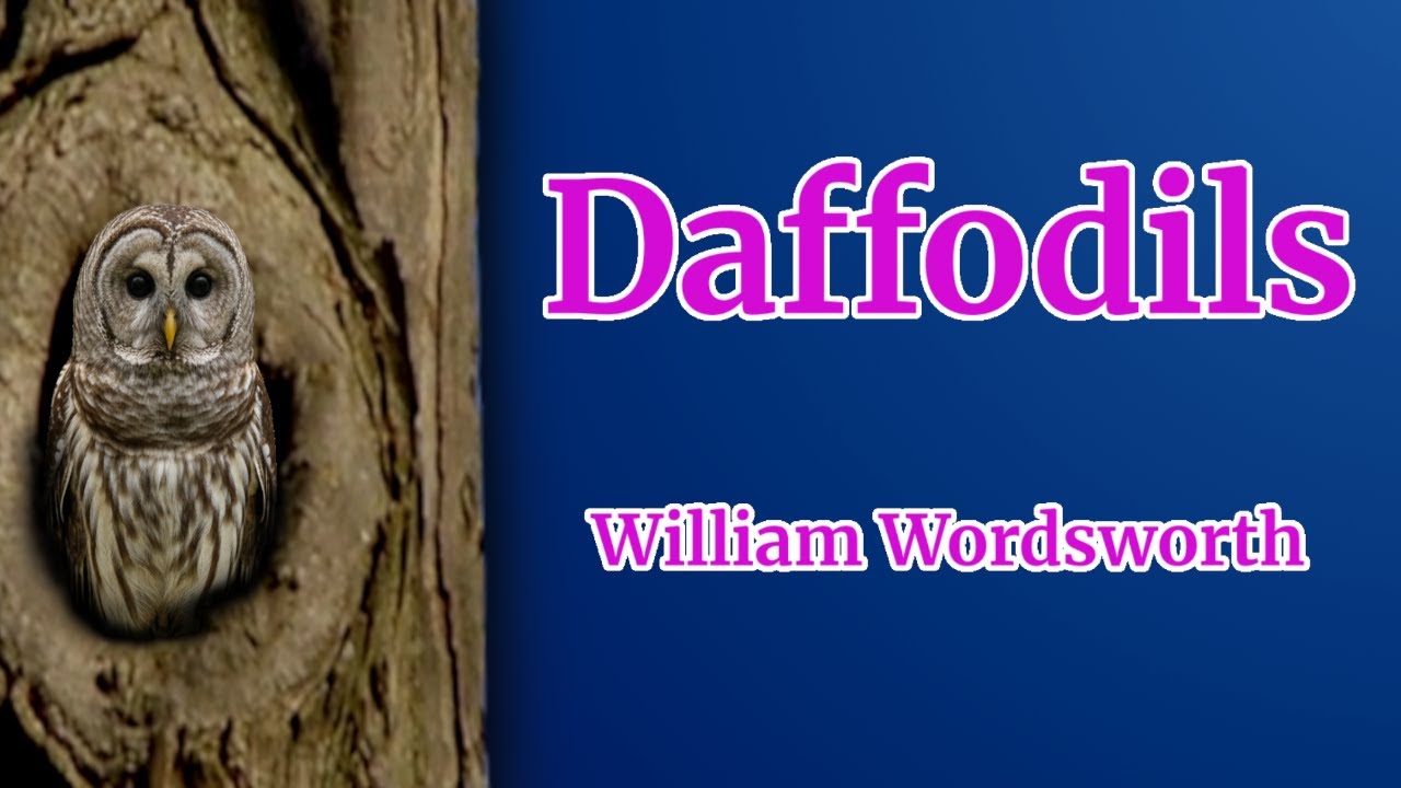 Daffodils by William Wordsworth | Perched Poetry Recital
