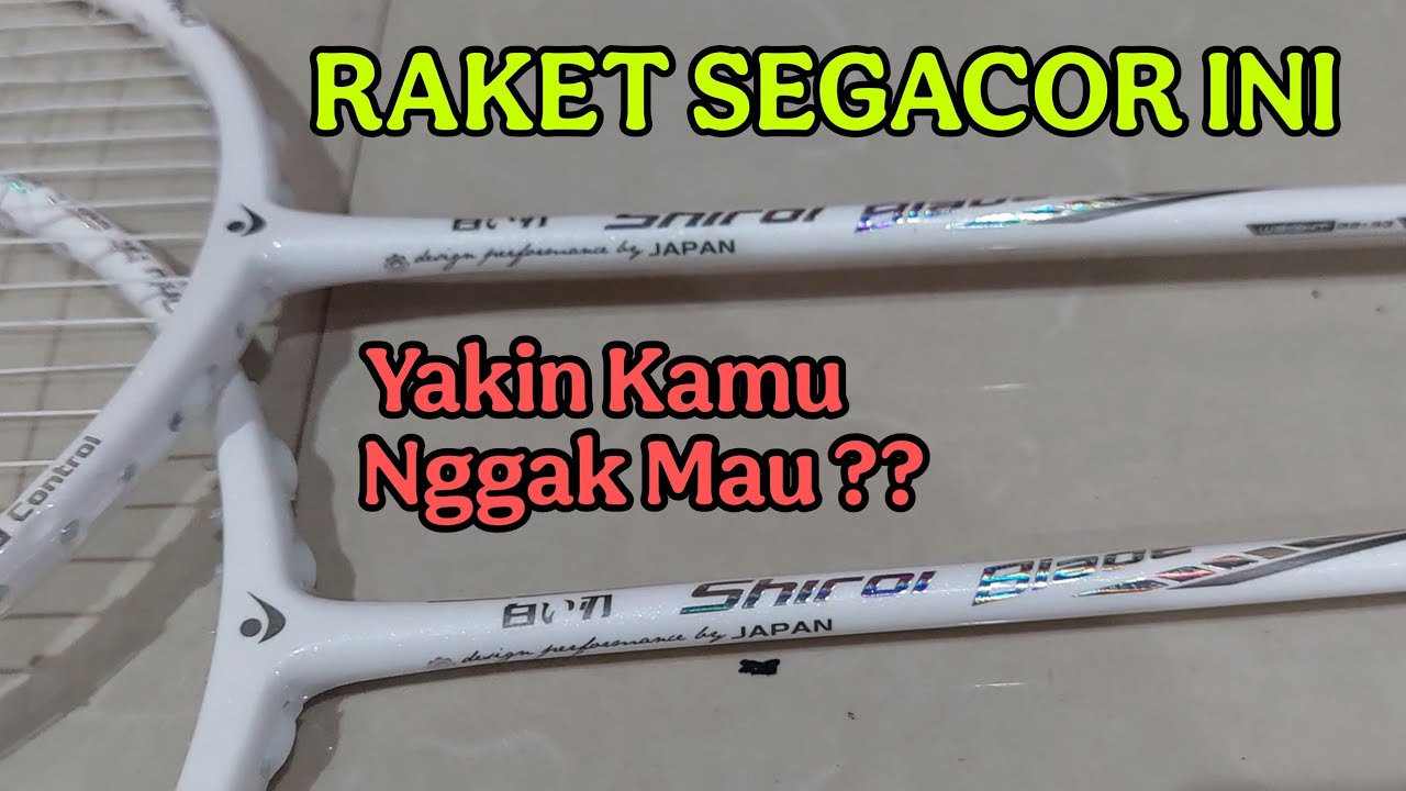 HARGA SEGINI AKANKAH JADI RAKET TERBAIK DIKELASNYA ? TUKANG SMASH WAJIB PUNYA!!! SIKEN SHIROI BLADE
