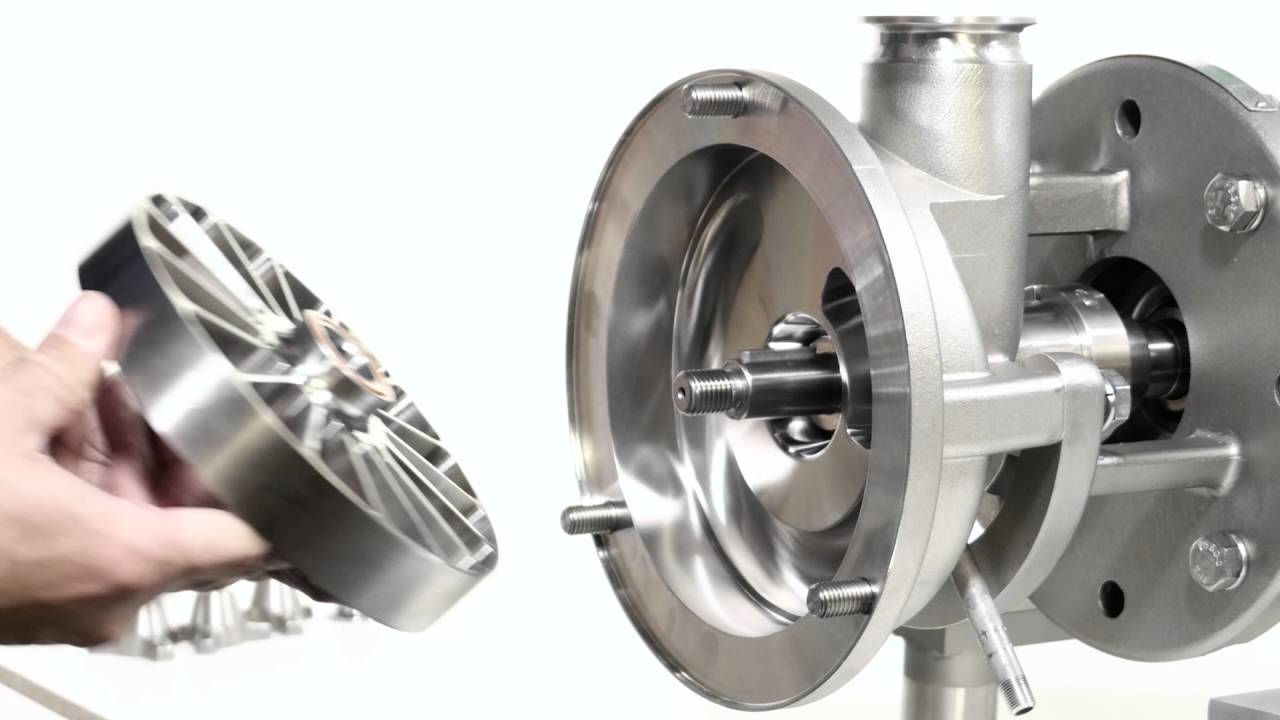 Fristam Maintenance Series: FZX Liquid Ring Pump