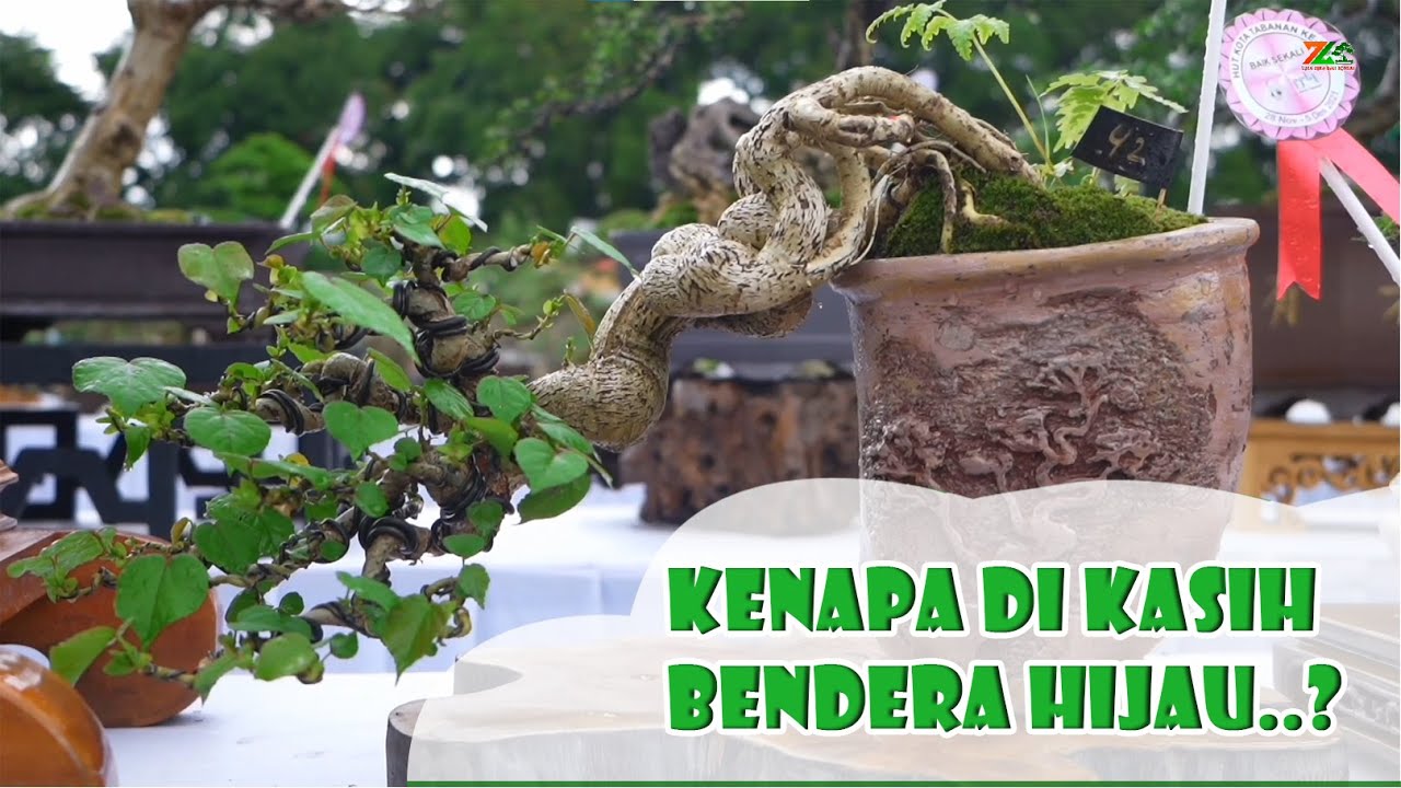 PENILAIAN JURI PADA KELAS PROSPEK