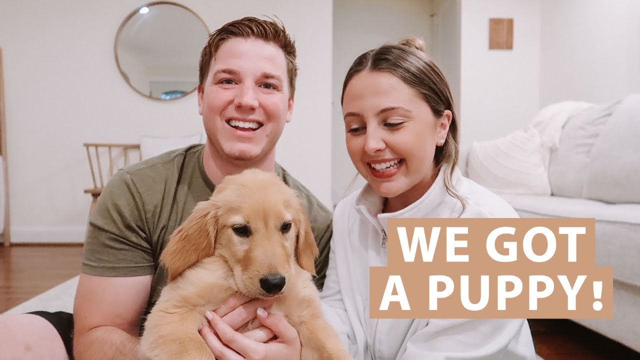 WE GOT A PUPPY! // our story