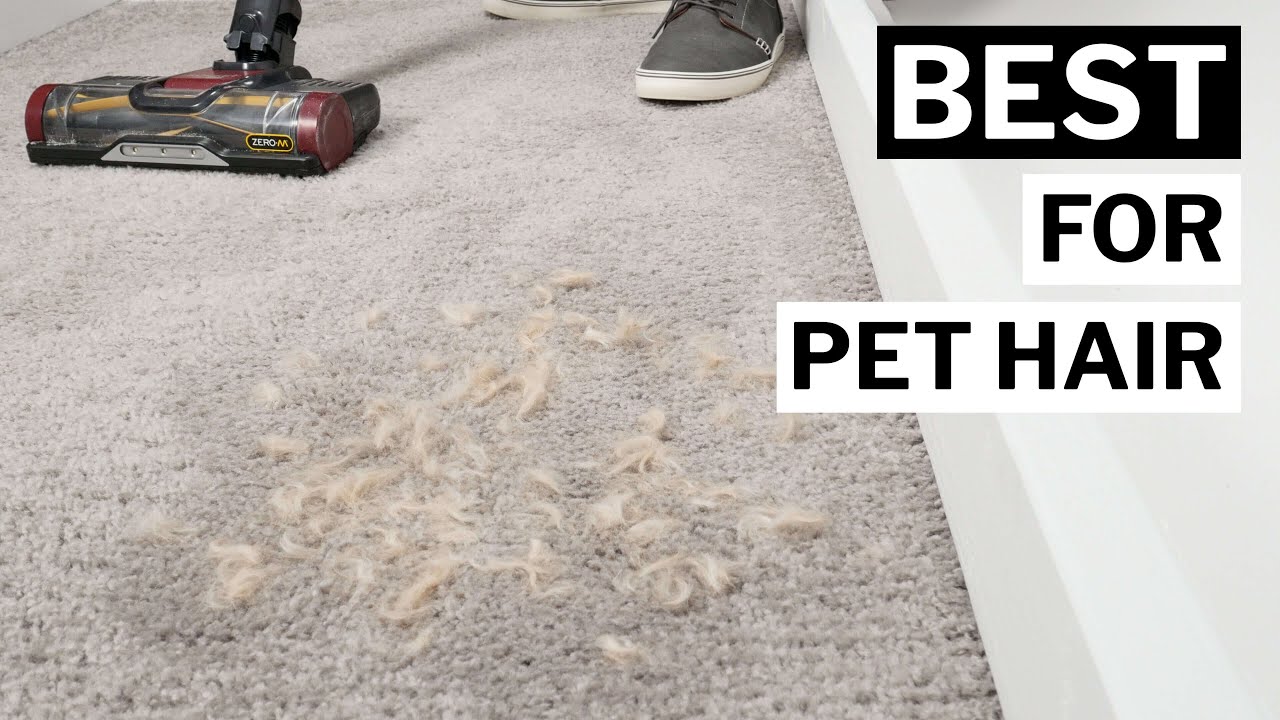 The Best Cordless Vacuum for Pet Hair