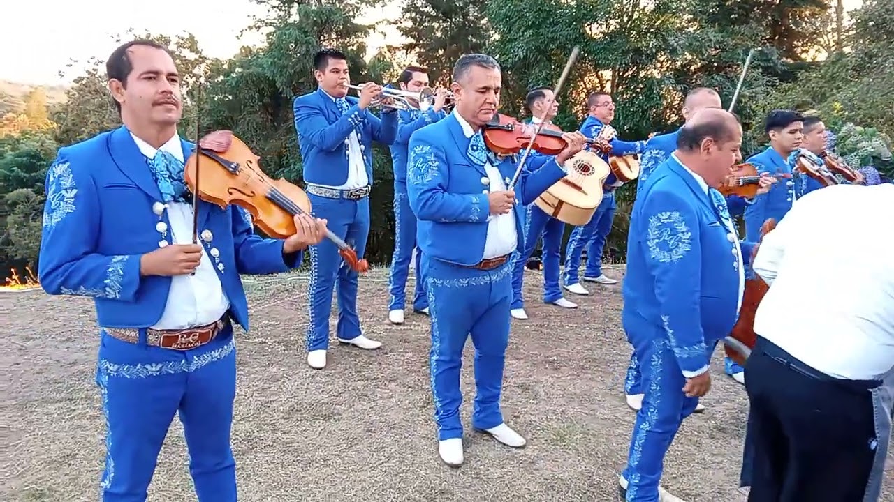 Una tarde bonita con el mariachi real de Colima 