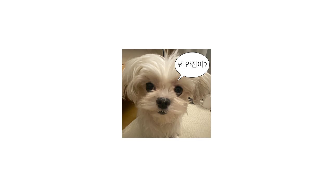 2026년 틱톡랜덤플레이댄스#틱톡랜덤플레이음원#2026틱톡#틱톡랜플#틱톡#랜플💗