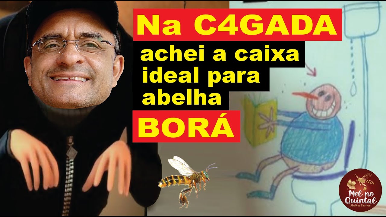 Transferência de Borá, caixa Bombando!