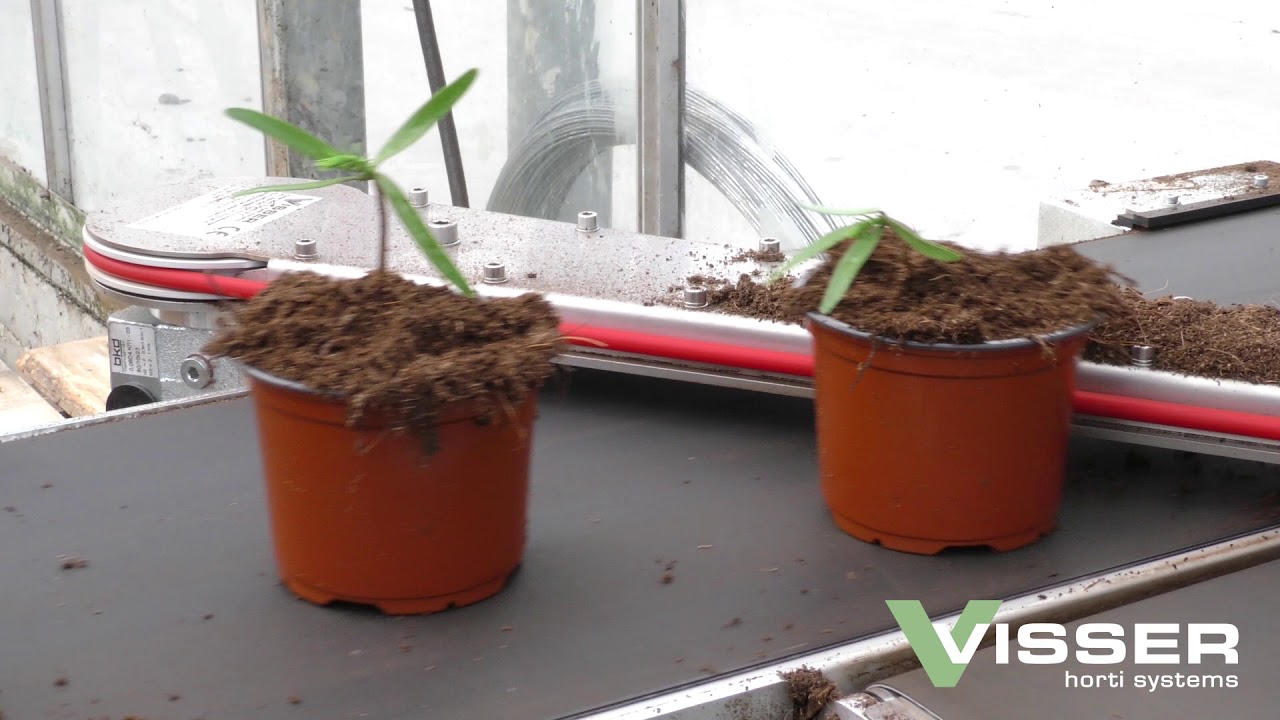 Space-O-Mat Potting Line  - Mondo Verde