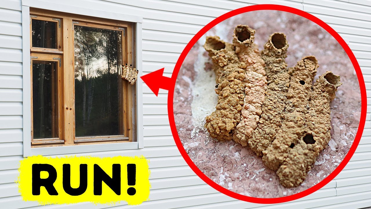 That's Not Mud, and You Should Run If You See It