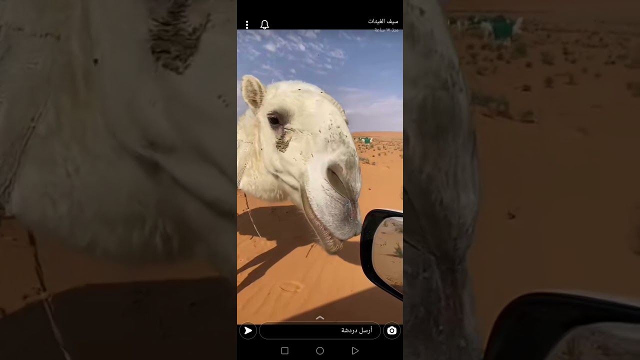 منقية مبخوت ابن هذال راعي شواش