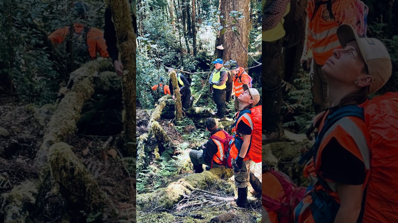 Incredible response from around the world to our investigation and the efforts of volunteers.