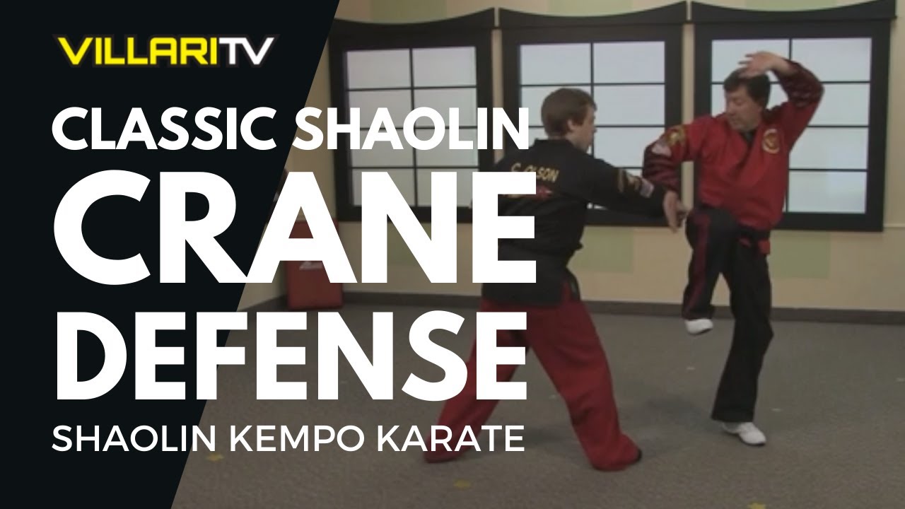 Classic Shaolin Crane Defense - Shaolin Kempo Karate