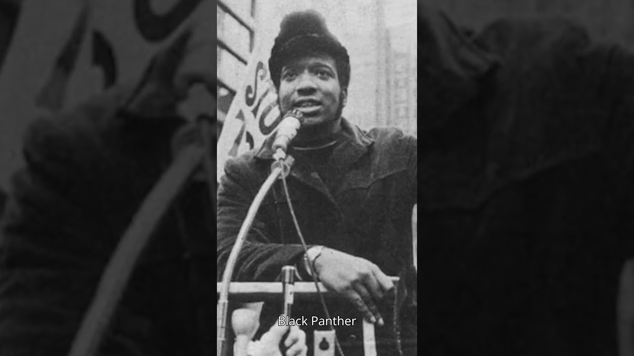 Black Activists & Leaders Part 6 #blackhistorymonth #civilliberties #blackhistoryfacts #civilrights