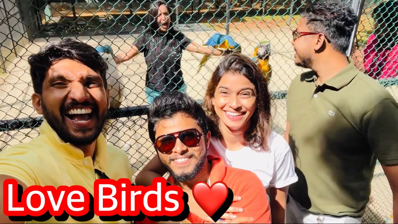 ආදර කුරුල්ලෝ😍|Birds park in Srilanka| Sangeeth Dini Vlogs| Sangeeth satharasinghe|