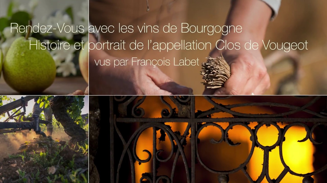 Histoire et portrait de l&rsquo;appellation Clos-Vougeot