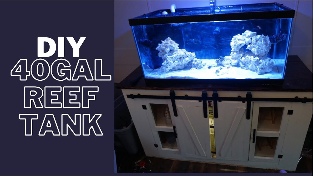 DIY 40 Gallon Reef Tank