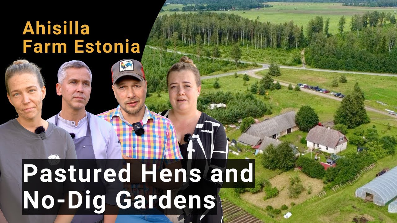 Pastured Hens and No-Dig Gardens – Climate-Friendly Practices in Estonia
