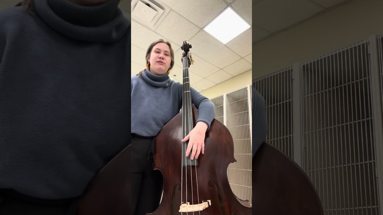 Ode to Joy - Bass