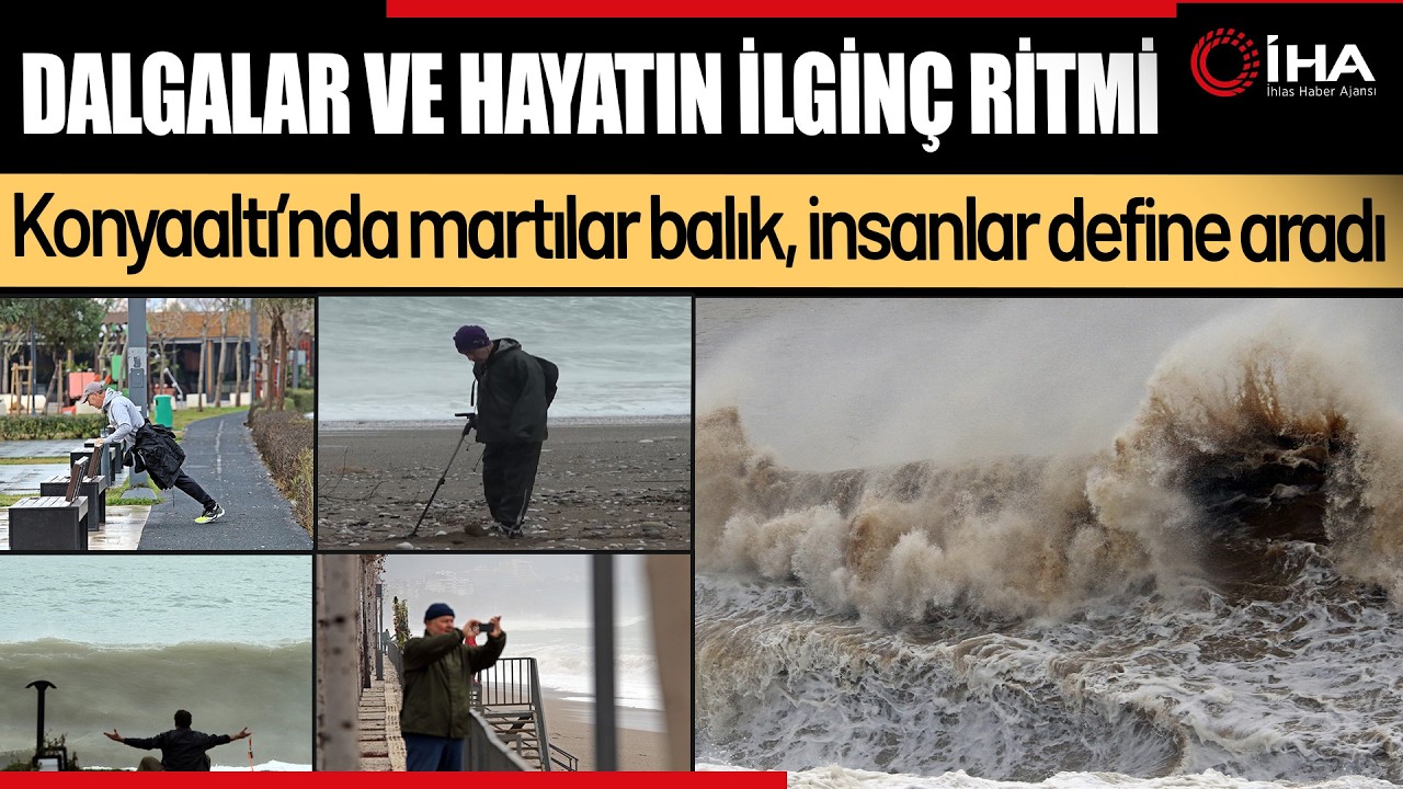 Dev Dalgalar Sahili Dövdü, Martılar Balık Avladı, İnsanlar Define Aradı