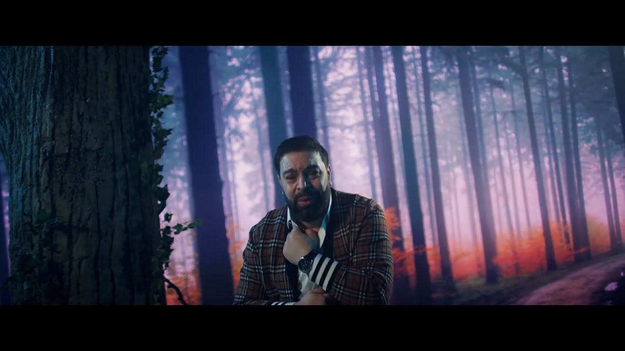 Florin Salam Pasare calatoare Cocos de la Calarasi