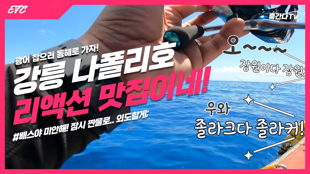 강릉항 나폴리호 리액션 맛집이네! - 광어 잡으로 동해 바다 가자
