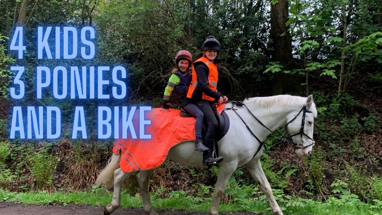 Happy hacking with buddies! Who do you think fell off? #horseriders #hacking #ponies #ridingfail