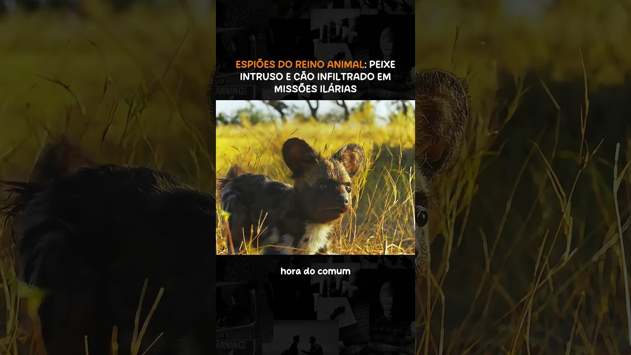#curiosidades #curiosidadeanimal #animais #mundoanimal