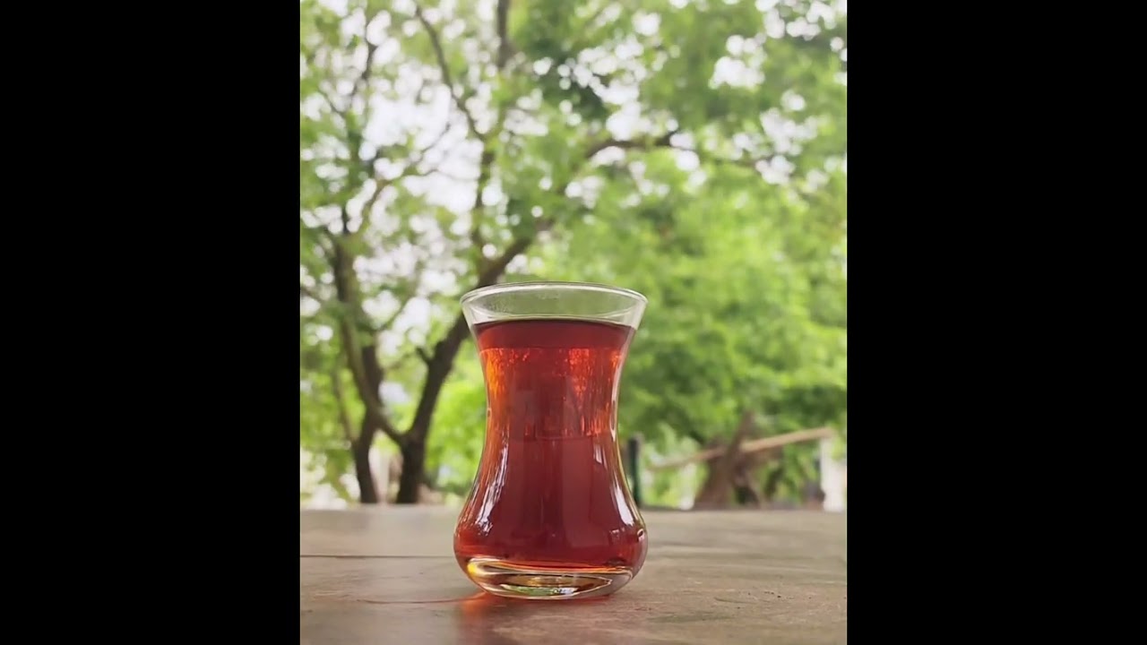 Doğa Sesleri - Kuş sesi, r&uuml;zgar sesi, yaprak sesi, deniz sesi,dalga sesi,orman sesi, k&ouml;pek sesi