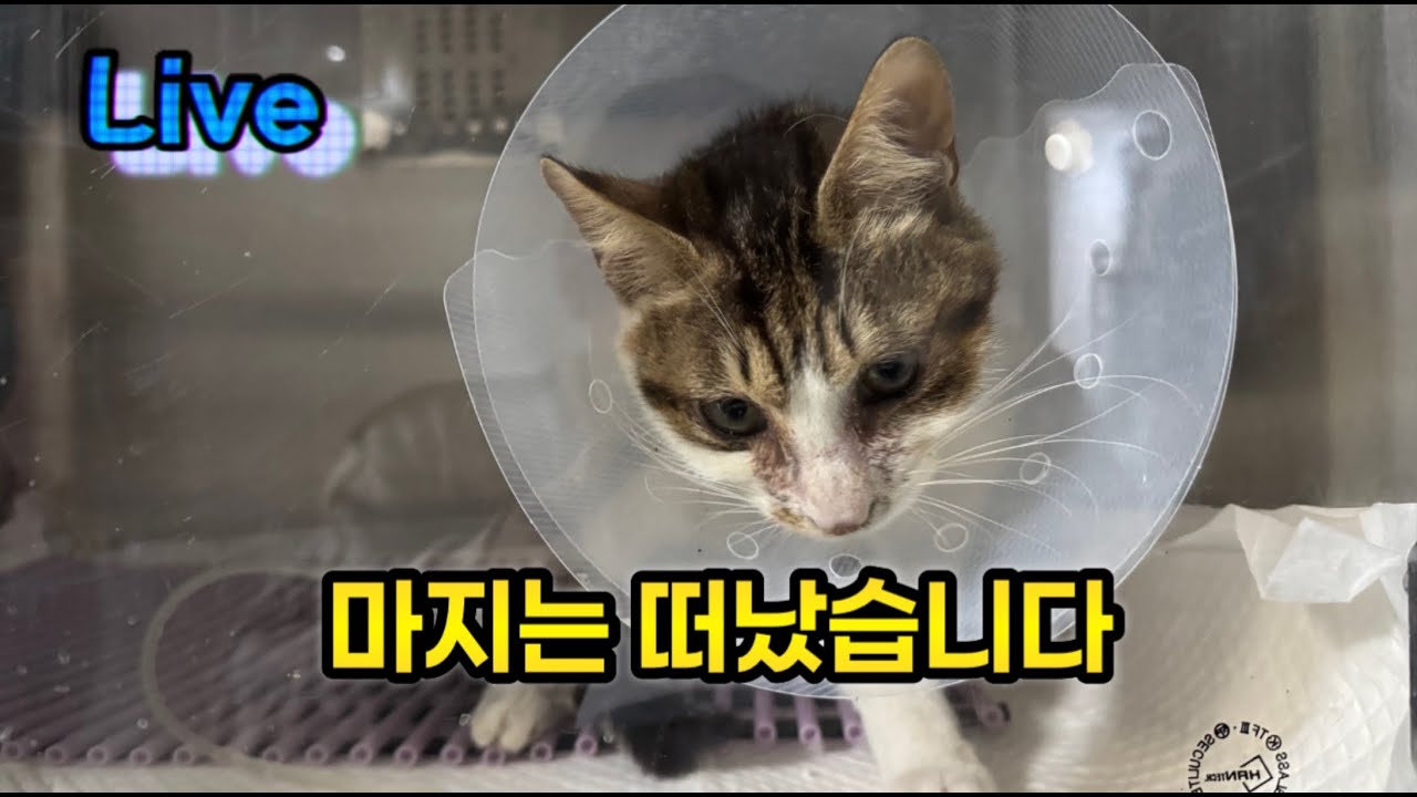 지키지 못해서 죄송합니다