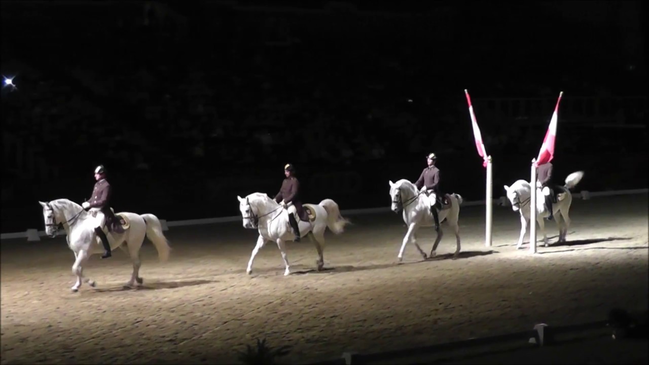 B&eacute;csi Spanyol Lovasiskola 2016 - Monarchia Keringő - F&ouml;ld f&ouml;l&ouml;tti munka