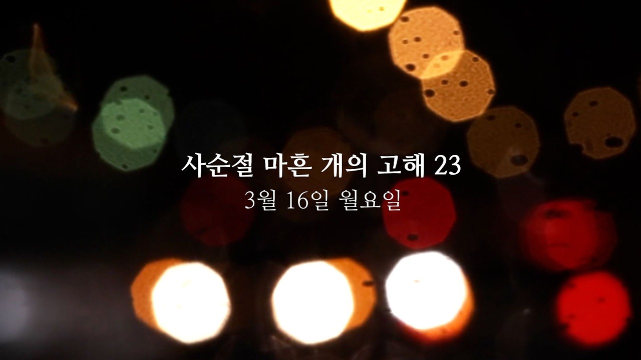 사순절 마흔 개의 고해 · 23