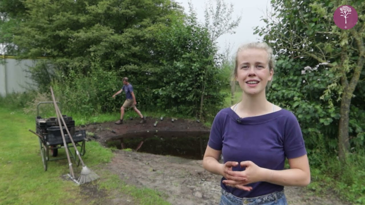 Een bloemrijke wadi aanleggen doe je zo