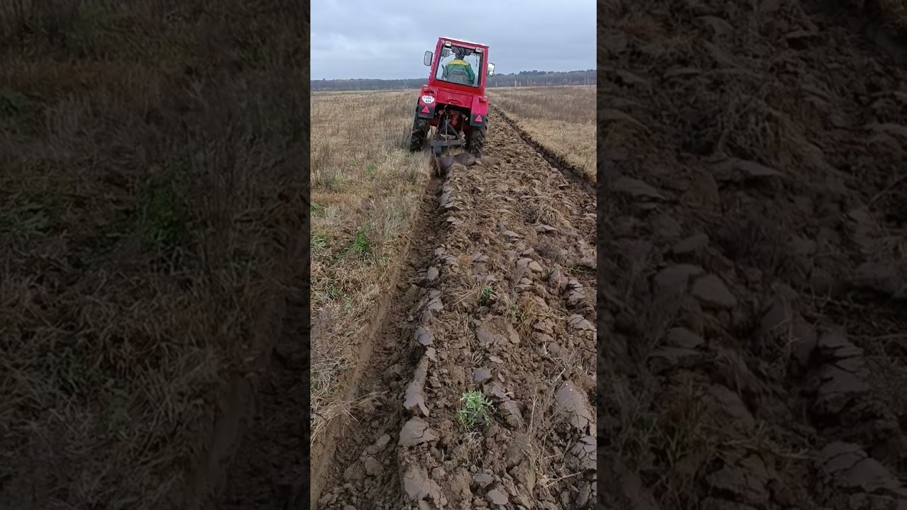Завершення оранки в 2023р, на допомогу приїхав т25