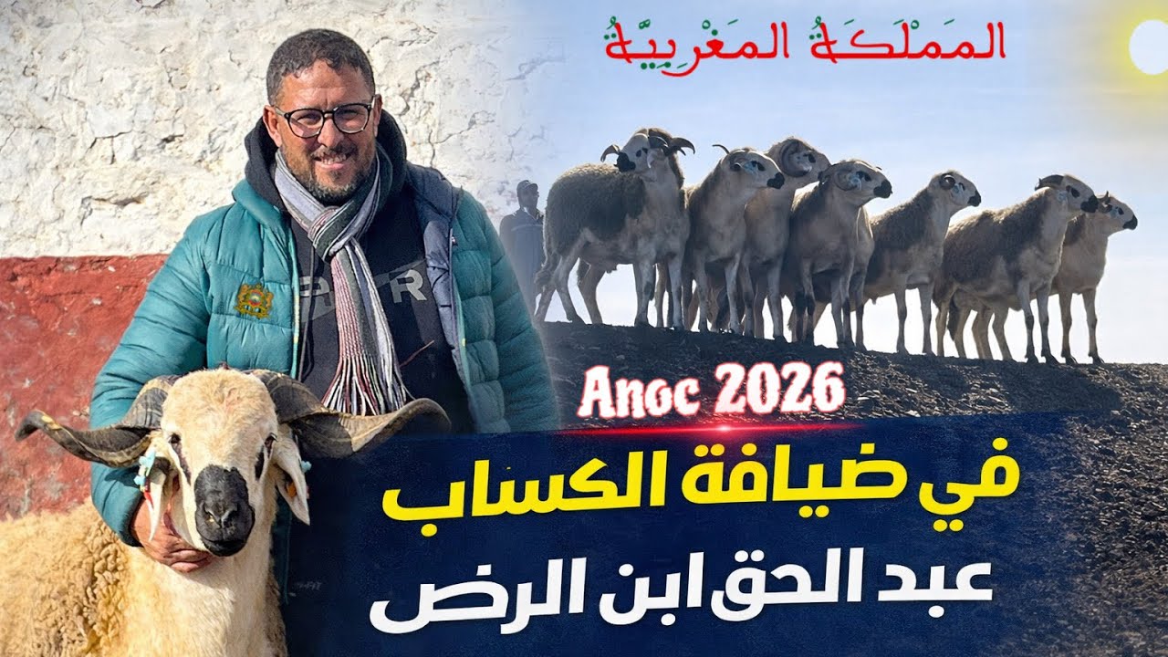 أخيييرا🚨شاهد ظهور عبد الحق ابن الرضى🏆بفحول ملكية مفاجئة🔥💣 موسم الرشم Anoc 2026 ❤️🏆