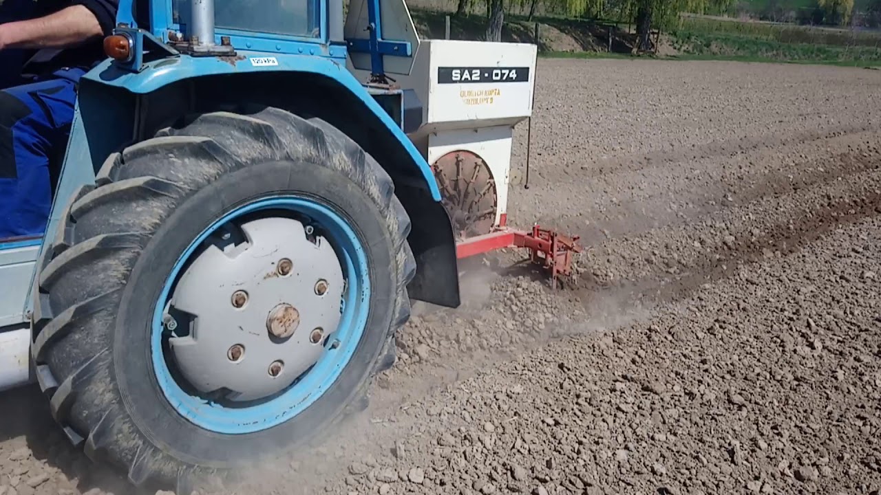 Zetor 3011 sázení brambor 2019