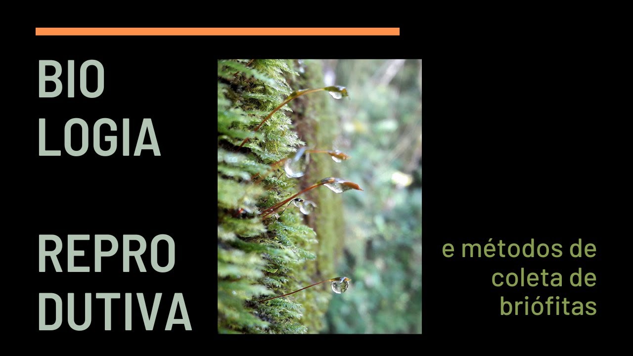 Biologia reprodutiva e métodos de coleta de briófitas