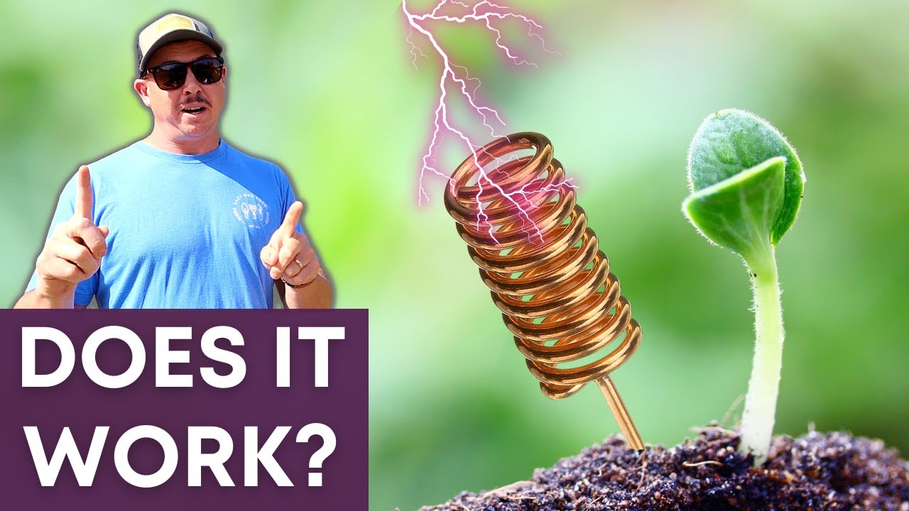 ELECTROCULTURE - Watch This Before Trying It!