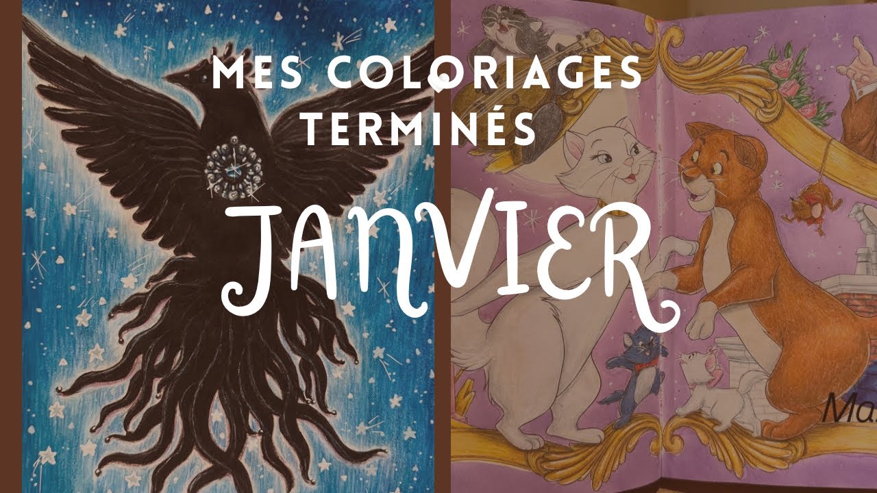 Mes colos terminés janvier 26