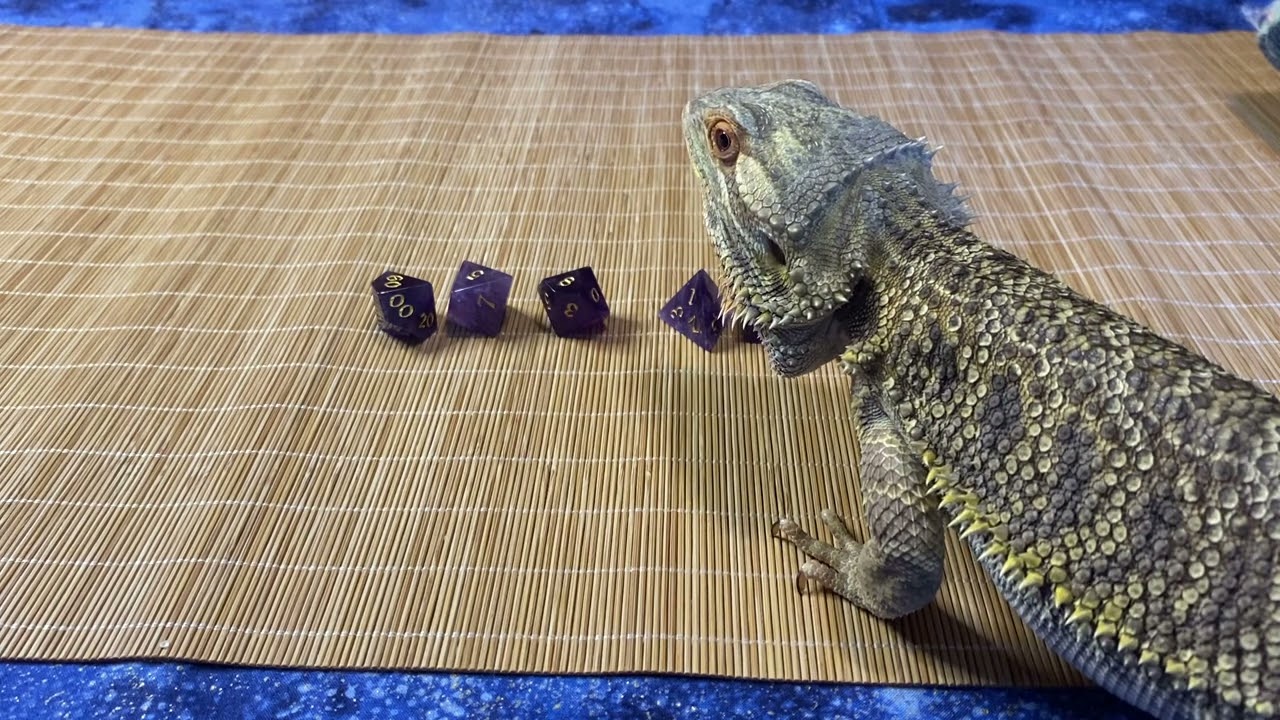 ASMR Judge George Beardie Review 2 - MAGISEVEN Amethyst Gemstone DnD Dice