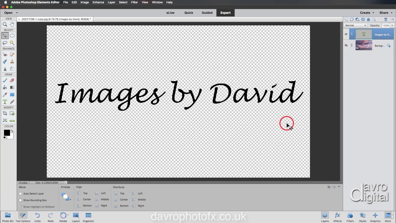 Copyright brush Photoshop Elements
