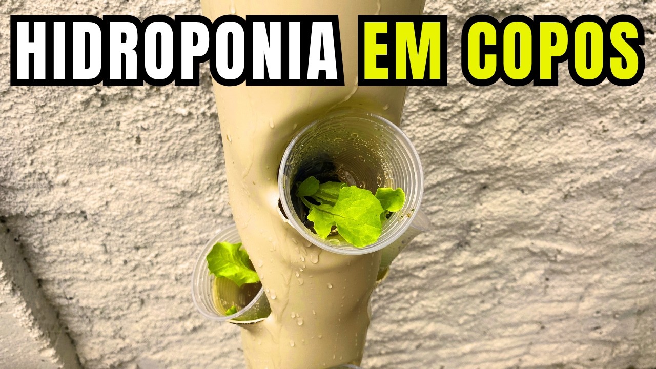 Torre hidropônica funcionando! Veja como montar, ligar e plantar