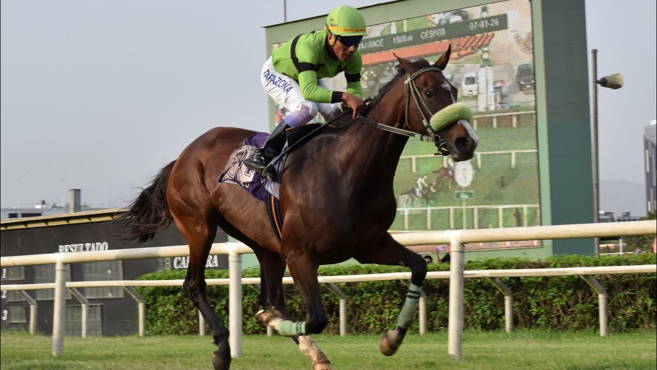 Grand Gigi 07/03/2026 - Décimo Sexto Triunfo Stud Tercer Milenio