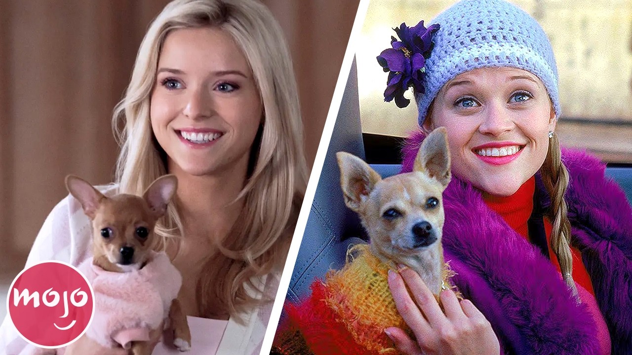 Elle: 10 Questions the TV Show Answers About Legally Blonde