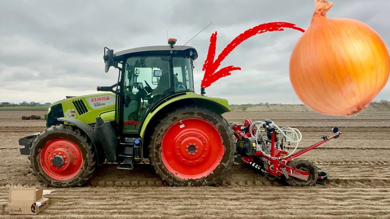 #764- Siejemy cebulę! Czy będzie płacz na jesieni? Claas Arion 430 + Agricola Italiana (system 14cm)