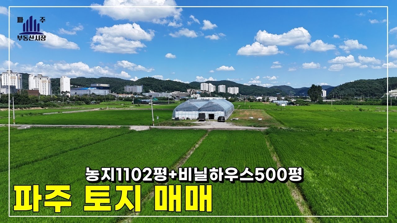 비닐하우스 500평 포함된 파주농지매매 #파주토지매매