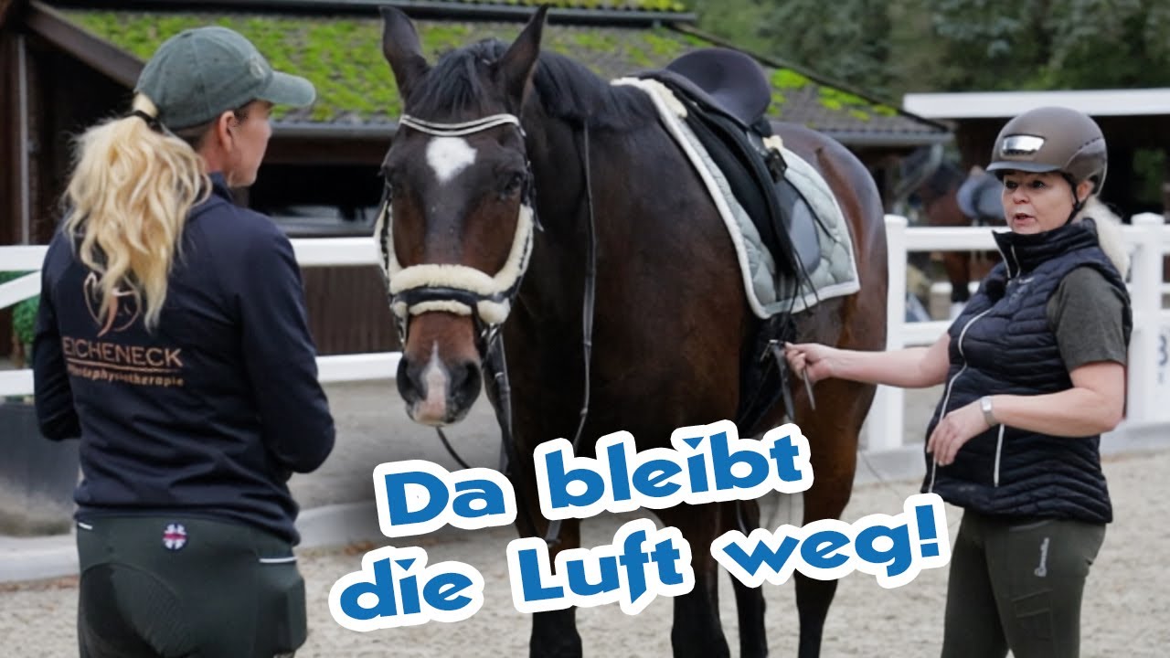 Pferd mit Zitterkrankheit läuft wie ein Giraffe – Reiterin muss hart anpacken
