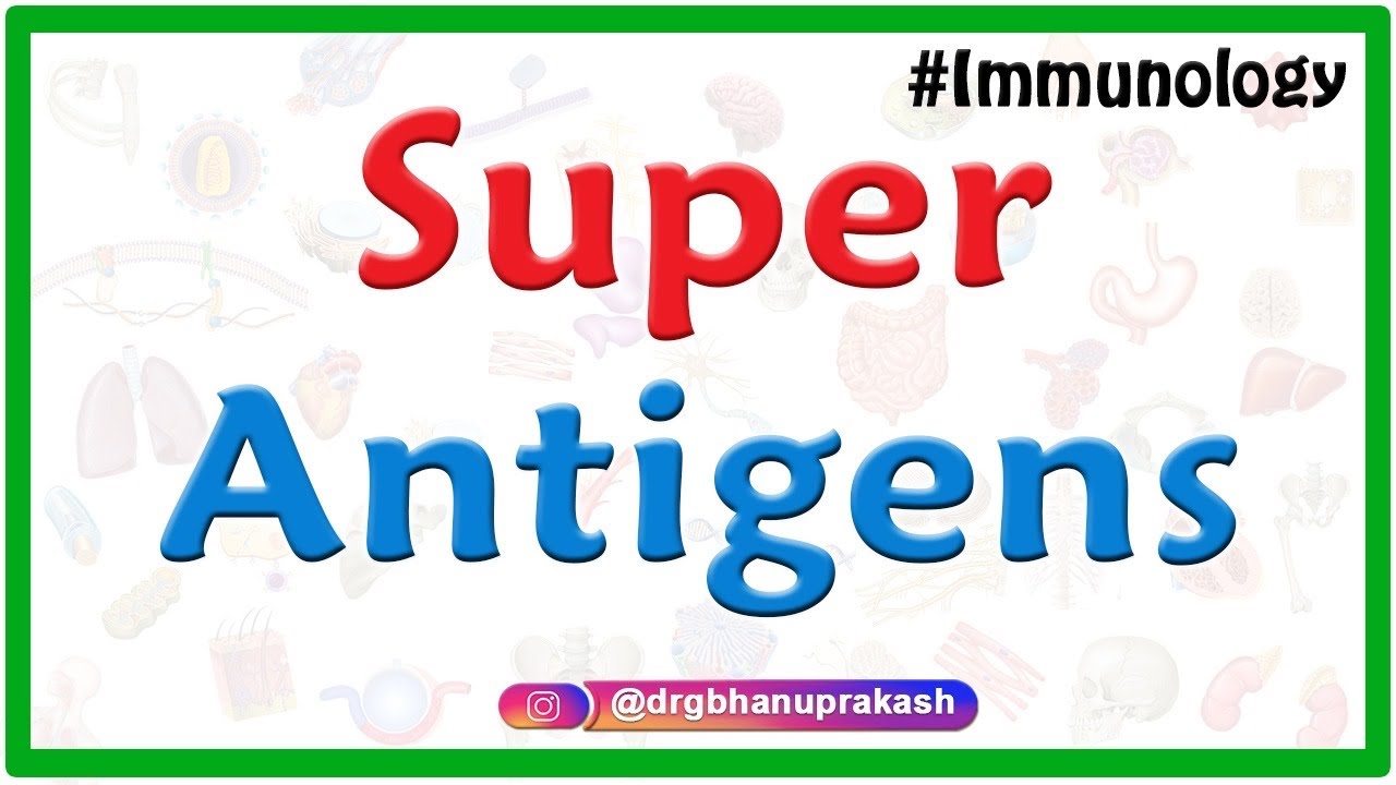 Superantigens (SAgs) Mechanism and its role in Toxic shock syndrome