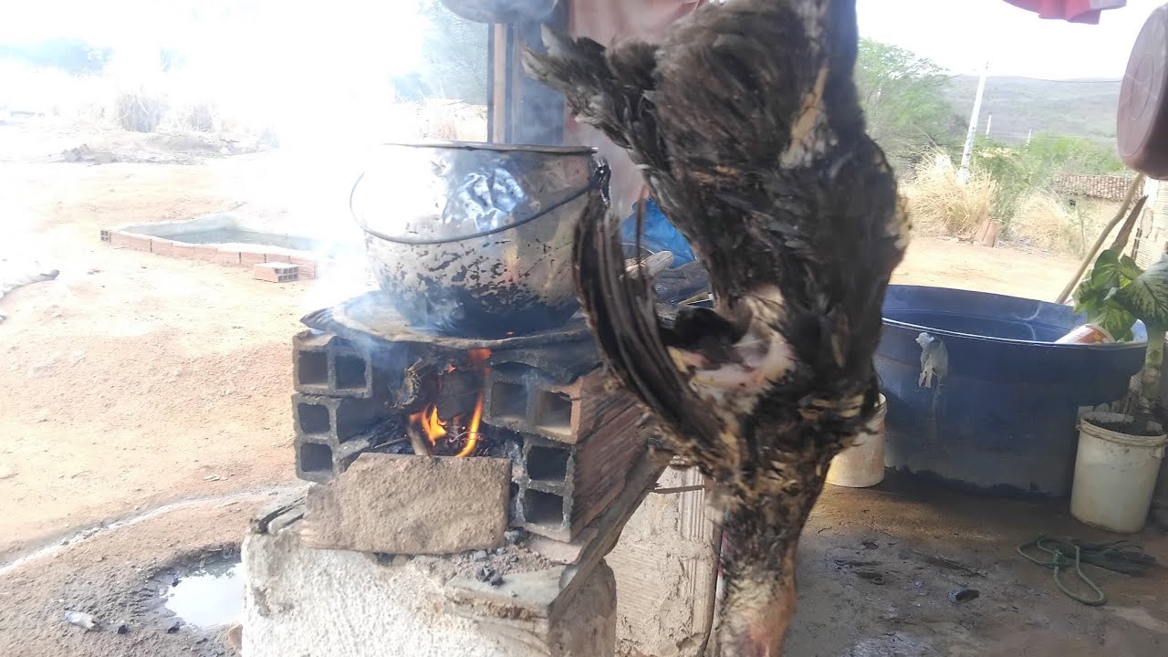 FAZENDO UM JANTAR DE ONTEM ABATI UMA GALINHA CAIPIRA .🥰