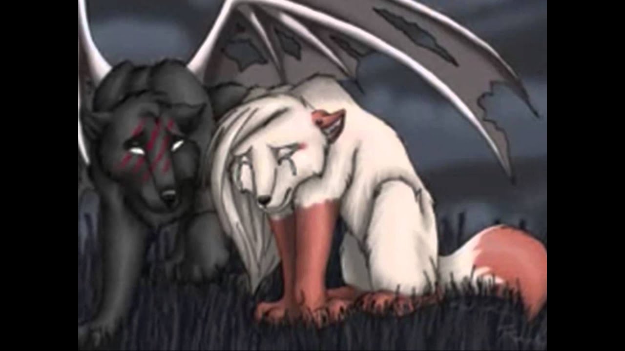 Anime Wolves Animal I Have Become