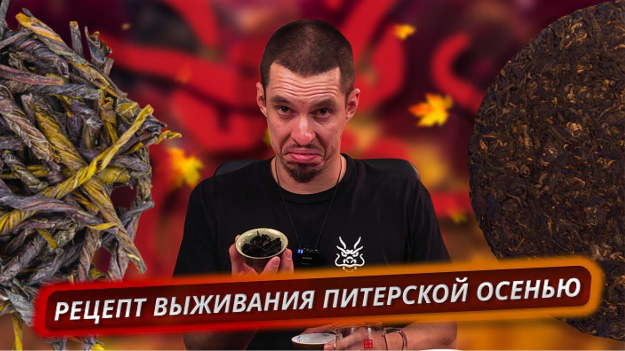Рецепт бодрости и здоровья: Шу + Кудин