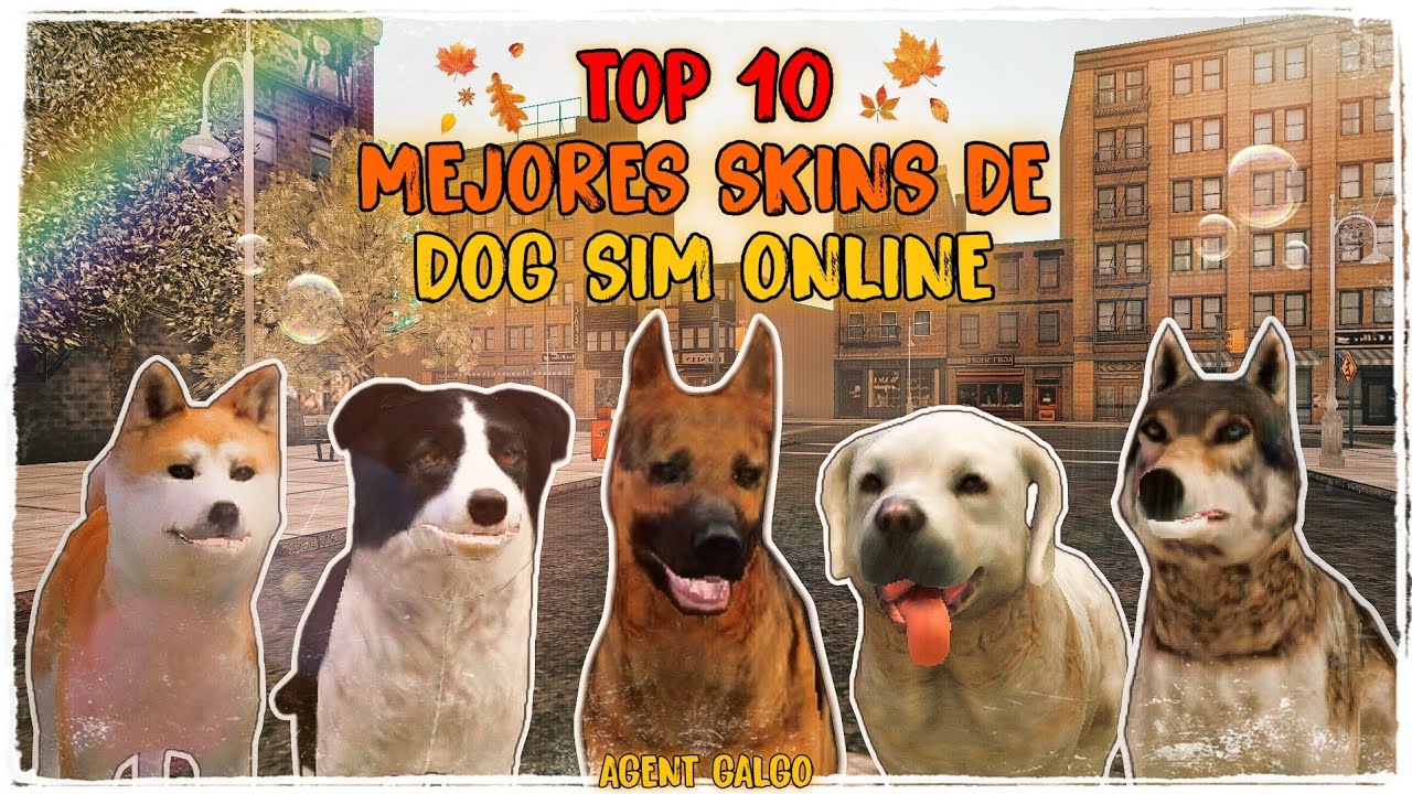 LAS MEJORES SKINS DE DOG SIM ONLINE || Agent Galgo