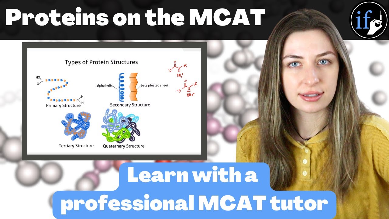 Как тесты MCAT: структура белка